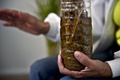 メキシコの首都メキシコ市の秘密の大麻栽培施設で撮影された、筋肉痛緩和用に大麻成分を浸出させているアルコールが入ったボトル（2015年11月30日撮影）。(c)AFP/Yuri CORTEZ