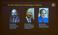 スウェーデン・ストックホルム（Stockholm）のカロリンスカ研究所（Karolinska Institute）で、2011年ノーベル医学生理学賞の受賞が決まった3氏を映し出したテレビ画面(2011年10月3日撮影)。(c)AFP/JONATHAN NACKSTRAND