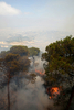 レバノンの首都ベイルート（Beirut）東部郊外アレー（Aley）の山火事の現場で上がる炎（2008年7月22日撮影）。(c)AFP/RAMZI HAIDAR