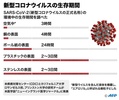 新型コロナウイルスの生存期間についてについてまとめた図解。(c)AFP 