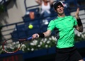 テニス、ドバイ・テニス選手権、男子シングルス2回戦。リターンを狙うアンディ・マレー（2015年2月25日撮影）。(c)AFP/MARWAN NAAMANI