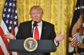米ホワイトハウスで初の単独記者会見に臨んだドナルド・トランプ大統領（2017年2月16日撮影）。(c)AFP/Nicholas Kamm