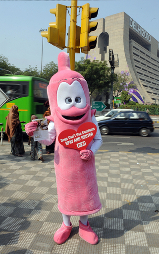 ペットにもコンドーム？PETAが不妊・去勢キャンペーン インド