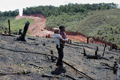 生物の宝庫マダガスカル、鉱山開発の「危険な賭け」