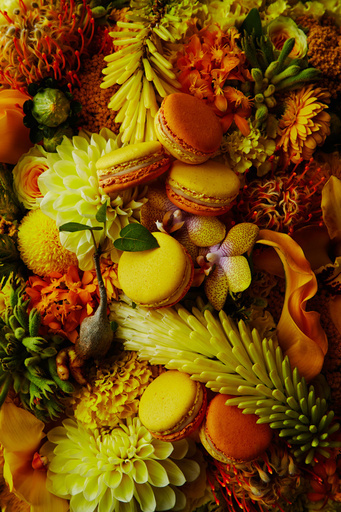 「ピエール・エルメ・パリ×東信」限定マカロンセット