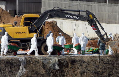 ＜鳥インフルエンザ＞新たに13万羽を処分、収まらない感染拡大 - 韓国