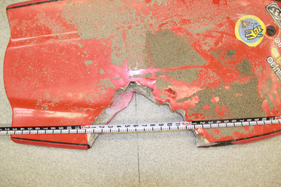 友人の目前でサメに襲われサーファー死亡、米ロサンゼルス