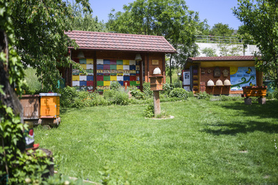 5月20日は「ワールド・ビー・デー」 国連がミツバチの保護を訴え