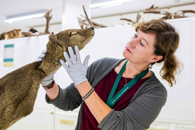 絶滅種からRNA抽出 世界で初めて成功