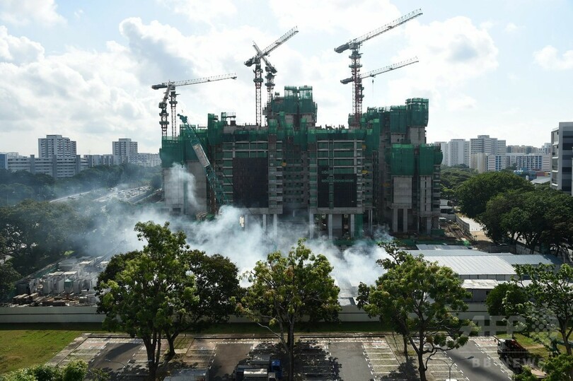 シンガポールのジカ熱感染、妊婦含む115人に拡大