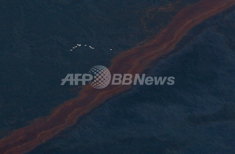 米メキシコ湾岸、流出原油がもたらす悪夢のシナリオ