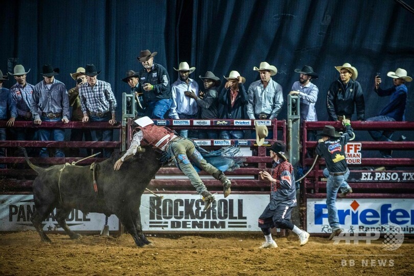8秒ってこんなに長かった 暴れ牛にまたがるロデオ大会 米テキサス 写真15枚 国際ニュース Afpbb News