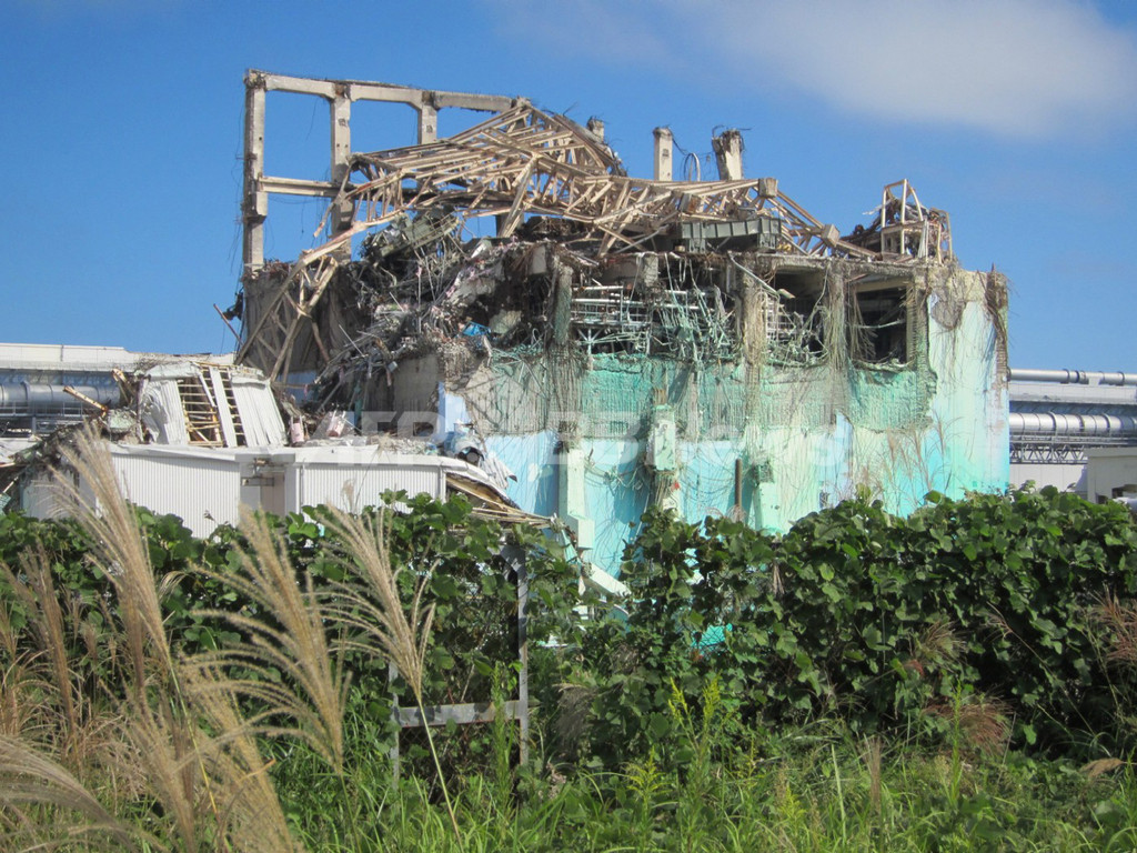 放射線の生態系への影響、福島第1原発周囲で調査 環境省 放射線の生態系への影響、福島第1原発周囲で調査 環境省