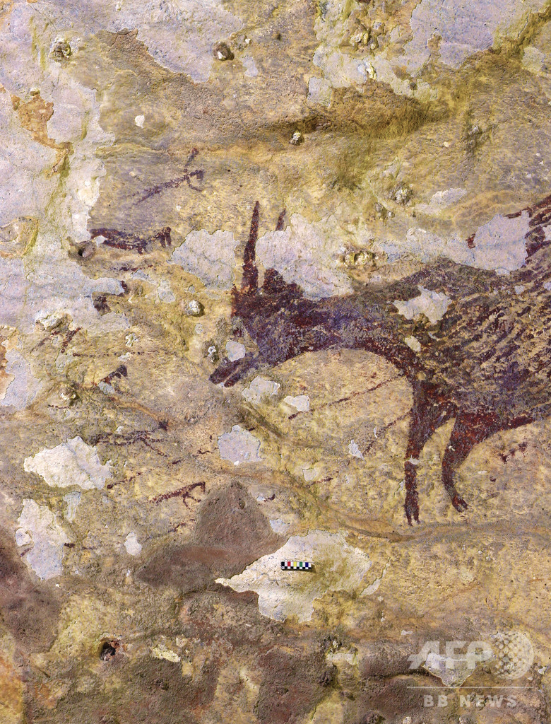 世界最古の具象画か 狩猟描いた4万4000年前の洞窟壁画 インドネシア 写真3枚 国際ニュース Afpbb News