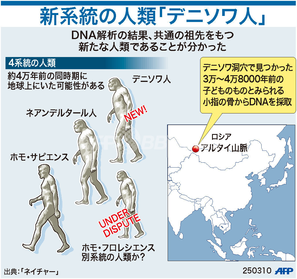 【図解】新系統の人類「デニソワ人」 写真1枚 国際ニュース:AFPBB News 【図解】新系統の人類「デニソワ人」 写真1枚 国際ニュース:AFPBB News