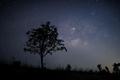 ミャンマーのタイチーで見られた天の川（2019年4月9日撮影）。(c)Ye Aung THU / AFP
