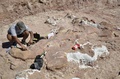 世界最大とみられる恐竜の化石が発見されたアルゼンチンのチュブト（Chubut）州ラウソン（Rawson）の発掘現場で作業中の発掘要員ら。エジディオ・フェルグリオ古生物博物館（Egidio Feruglio Paleontological Museum）提供写真（2014年5月17日提供）。(c)AFP/Museo Egidio Feruglio