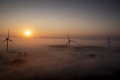 デンマークの風力タービン（2021年9月10日撮影、資料写真）。(c)Mads Claus Rasmussen / Ritzau Scanpix / AFP