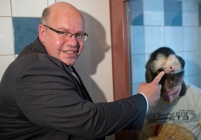 ジャスティン・ビーバーの没収されたサル、ドイツの所有物に