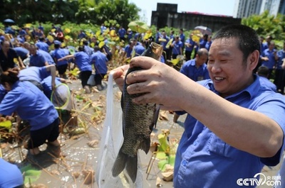 屋上菜園で魚捕りコンテストが開催 中国・重慶市