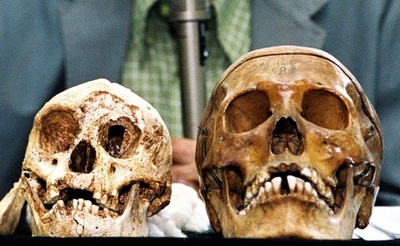 インドネシアの「ホビット」、通説よりも早い時期に絶滅か 研究