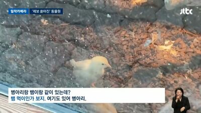 韓国・亀尾の動物園で虐待疑惑…100匹以上が劣悪環境に放置
