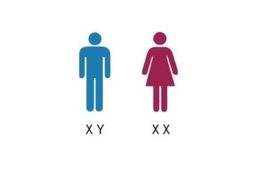 中国人夫婦 結婚6年不妊 夫の染色体は「女性」