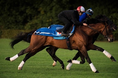 サトノダイヤモンド、凱旋門賞の前哨戦で4着に終わる