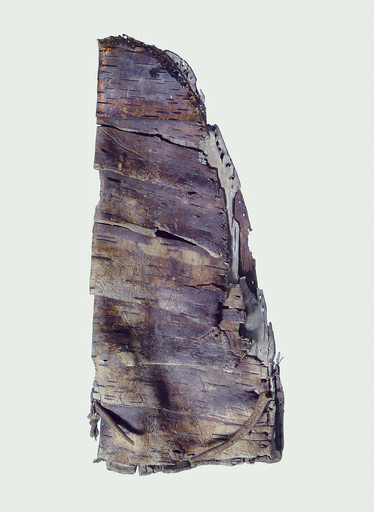 気候変動で氷河融解、新石器時代の遺物出土 スイス