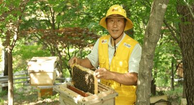 韓国LG、在来ミツバチの個体数を1年で400万匹に増加…4倍・生物多様性保全へ保護事業を推進