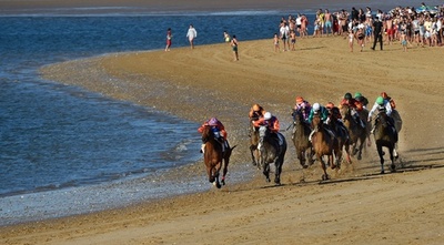 【今日の1枚】砂塵を巻き上げ疾駆、浜で競馬 スペイン