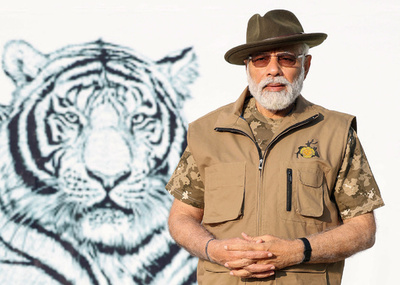 野生のトラ生息数、3000頭超に増加 インド