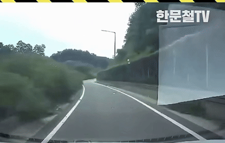 茂みを突き破って飛び出したカマロ＝2025年9月26日、YouTubeチャンネル「ハン・ムンチョルTV」(c)NEWSIS