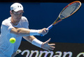 テニス男女混合国別対抗戦、第27回ホップマンカップ（Hopman Cup XXVII）4日目、英国対ポーランド。リターンを狙うアンディ・マレー（Andy Murray、2015年1月7日撮影）。(c)AFP/TONY ASHBY