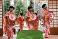 シンガポールの植物園「ガーデンズ・バイ・ザ・ベイ」で開幕した日本をテーマにした「桜祭り」で、伝統の踊りを披露するシンガポール日本人会民謡同好会のメンバーら（2018年3月16日撮影）(c)AFP PHOTO / Roslan RAHMAN