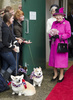 英イングランド南西部ドーセット（Dorset）州シャーボーン（Sherborne）を訪問し、コーギー犬に迎えられるエリザベス女王（Queen Elizabeth II、右、2012年5月1日撮影）。(c)AFP/ARTHUR EDWARDS