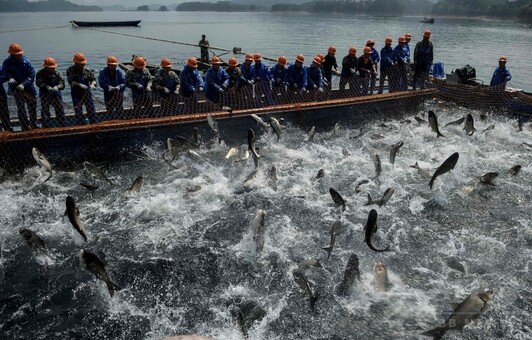 中国　置物　漁 晴れた朝に沸き立つ湖面、中国・千島湖で春の漁 写真15枚 国際ニュース