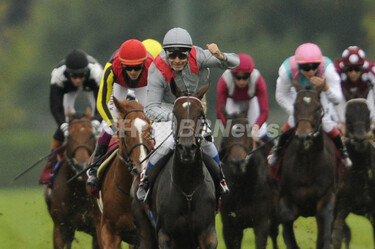 オルフェーヴル2着、キズナ4着で日本馬またも優勝ならず 凱旋門賞 写真10枚 国際ニュース：AFPBB News