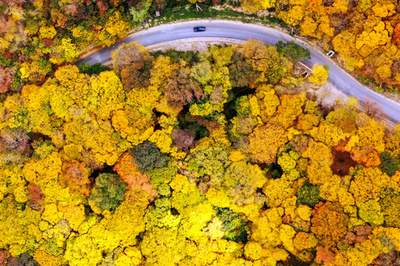 【今日の1枚】錦秋に誘われてドライブ