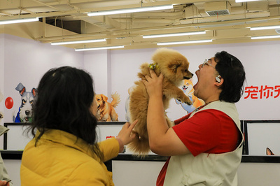 中国でペット数が1億2600万匹に 犬への支出が人の医療費以上に