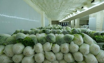 中国産野菜 ラオスで人気商品に