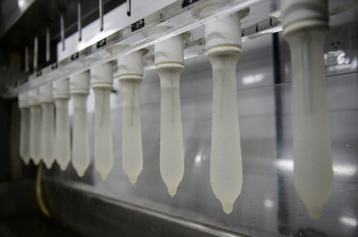 リオ五輪のジカ熱対策で選手団にコンドーム支給、豪五輪委