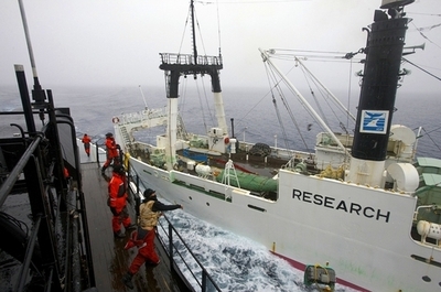 調査捕鯨船の船員が行方不明、落水か