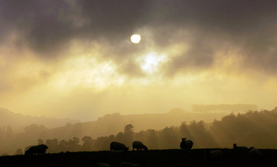 英南西バースで切断された足の発見相次ぐ、展示用か
