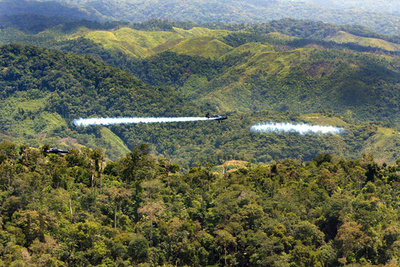 麻薬戦争で使用の除草剤に発がん性、コロンビアで使用停止に