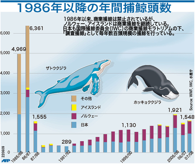 【図解】1986年以降の年間捕鯨頭数