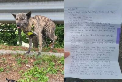 がんで余命宣告、ペット犬を遺棄した韓国の飼い主…添えた手紙に記した悲痛な心情