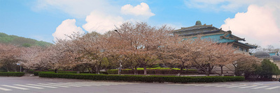 武漢大学でコレラ感染者1人確認 中国