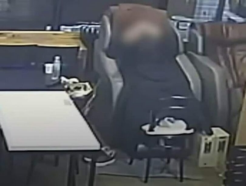 「社長は誰でもなれるのか」キャプチャー(c)news1