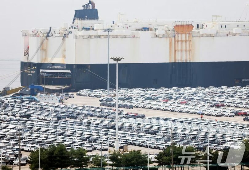 2025年7月7日、京畿道平沢市の平沢港に並ぶ輸出用自動車(c)news1